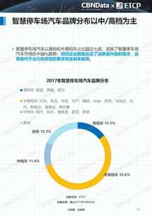 2017中國智慧停車行業(yè)大數(shù)據(jù)報(bào)告 數(shù)字技術(shù)驅(qū)動(dòng)下的格局重塑與未來展望